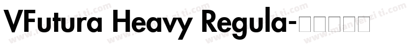 VFutura Heavy Regula字体转换